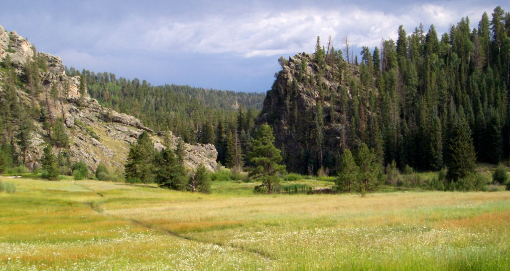 Head Start and Early Head Start